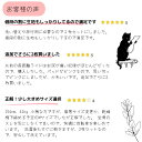 nekonote-kobo:10000463のサンプル画像3