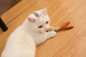 【送料無料】猫じゃらしセットボックスプレゼントギフト7個入猫用玩具猫のおもちゃ猫じゃらしプレゼント用パッケージ