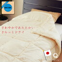 【日本製 東洋紡 モイスケア 肌掛け布団 クィーン 210×210】さらっとドライ 吸湿熱であったかい やわらかい掛布団 No.20