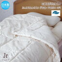 肌掛け布団 洗える 夏掛け布団 ジュニア 135×185cm ダクロン フレッシュ 4-hole 中綿 インビスタ社 ホコリが出にくい高密度生地 No.7