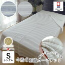 日本製 今治 5重織ガーゼケット シングル 145×190cm 綿100% 5重ガーゼ タオルケット 肌ふとん 肌布団 夏用 タオルケット ブランケット ボーダー柄 ナチュラル 軽量 軽い ふんわり 母の日 父の日 西川 昭和西川 セール 8便 22303-76980