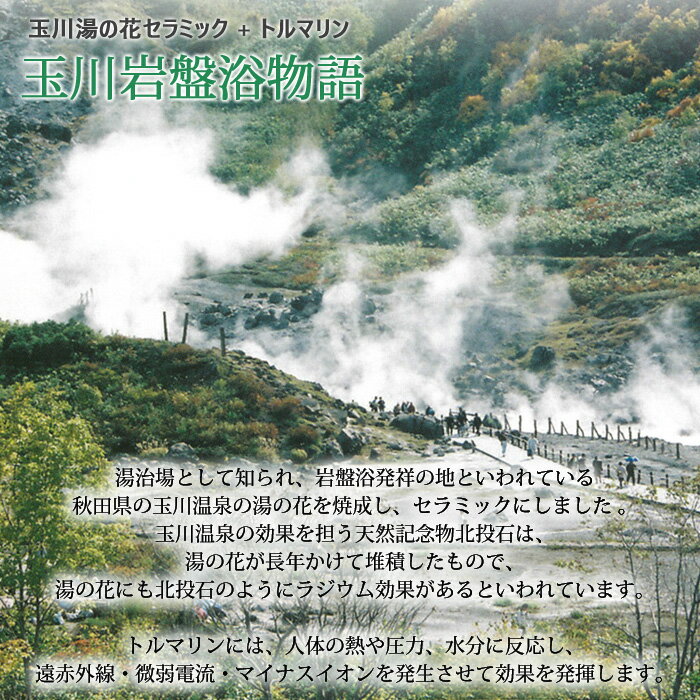 【豪華特典】専用カバープレゼント 温熱敷き布団 岩盤浴ふとんDX 100×200cm シングル 玉川岩盤浴物語 トルマリン ラジウム効果 敷きパッドタイプ 軽量 日本製 2