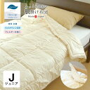 日本製 洗える アレルギー対応 肌掛け布団 ジュニア 135×185 ダクロンFRESH 7穴 中わた 軽い ホコリが出にくい No.8 インビスタ社 肌布団 肌ぶとん 掛け布団 掛けふとん 掛布団 掛ふとん 夏布団 夏ふとん 夏用