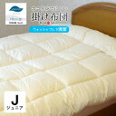 日本製 ダクロンFRESH 4穴 中わた 掛け布団 ジュニアサイズ 135×185cm ウォッシャブル 丸洗い ホコリが出にくい アレルギー対策 掛ふとん 掛布団 掛けふとん No.9 インビスタ社