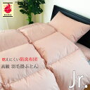 羽毛布団 防炎 ジュニア 135×185cm ダウン85% 1.0kg 日本防炎協会認定 防炎マーク付き 日本製 No.40(3)