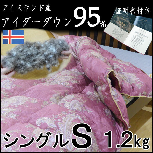  ɻ å 󥰥 1.2kg  ̥