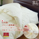 羽毛布団 2枚合わせ 長身用 シングル超ロング 150×230cm ハンガリー産ダウン90% 超長綿側生地 エクセルゴールドラベル 日本製 抗菌防臭加工
