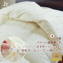 羽毛布団 2枚合わせ ジュニア 130×180cm ハンガリー産マザーダウン93% 超長綿側生地 ロイヤルゴールドラベル 日本製 抗菌防臭加工(3)