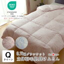 日本製 エコテックス 立体肌掛け羽毛ふとん ダウンケット クイーンロング 210×210 クィーン 0.7kg ハンガリー産ホワイトダウン90% 綿100%側生...
