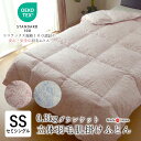 日本製 エコテックス 立体肌掛け羽毛ふとん ダウンケット セミシングル 140×190 0.3kg ハンガリー産ホワイトダウン90% 綿100%側生地 立体キルト加工 パワーアップ加工 肌布団 肌ぶとん 母の日 父の日 敬老の日 プレゼント ギフト 2230