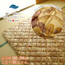 日本製 こたつ敷きふとん 正方形 200×200cm こたつ敷き布団 こたつ敷 こたつ敷布団単品 インビスタ社 ダクロン FRESH(R) 4穴中わた 軽い 暖...