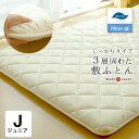 【最大1000円OFFクーポン配布中】 mofua BABY FUTON モフア ベビー布団 ミニ 敷布団 抱っこふとん 40×70cm 洗える CLOUD柄 362700