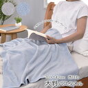 西川の大判バスタオル 70×142cm 西川 大判タオル 厚手 しっかり ホテルタイプ 母の日 父の日 敬老の日 綿100% 新生活 普段使い TT920006...