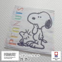 日本製 スヌーピー 今治 ミニタオル 25×25cm 西川 ハンドタオル ピーナッツ フレンズ カラフル レインボー 今治タオル 母の日 父の日 敬老の日 綿100% ギフト 新生活 N便6 XT44706601