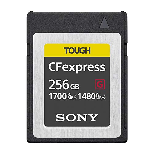 \j[ SONY CFexpress Type B [J[h 256GB ^tdl ݑx1480MB/s ǂݏox1700MB/s CEB-G256