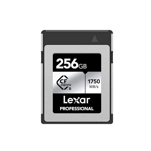 Lexar Professional CFexpress Type-B 256GB SILVER őǂݏo1750MB/s ő发1300MB/s [J[T|[g LCXEXSL256G-RNENG Ki sAi