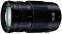 パナソニック(Panasonic) 超望遠ズームレンズ マイクロフォーサーズ用 ルミックス G VARIO 100-300mm/F4.0-5.6 II /POW...