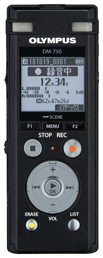 OM SYSTEM/オリンパス OLYMPUS ICレコーダー VoiceTrek DM-750 BLK 内蔵メモリー4GB MicroSD (議事録、会議/証拠録音、取材、インタビュー) OM SYSTEM/オリンパス OLYMPUS ICレコーダー VoiceTrek DM-750 BLK 内蔵メモリー4GB MicroSD (議事録、会議/証拠録音、取材、インタビュー)
