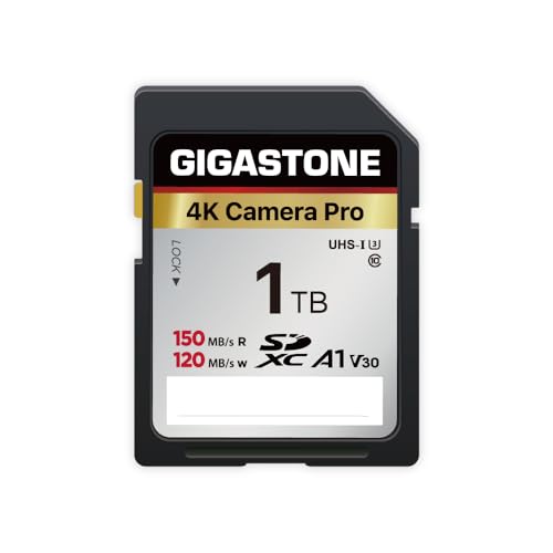 Gigastone SDカード 1TB V30 U3 SDXC 超高速 メモリーカード, 4K UHD ビデオ Canon Nikon Sony Pentax Kodak Olympus Panasonicなど デジタルカメラ 一眼レフ対応 ミニケース
