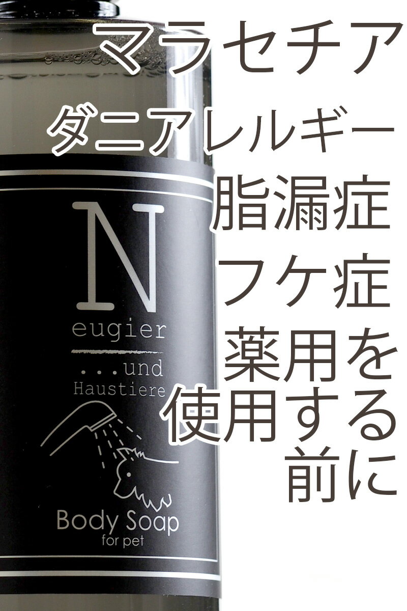 Neugier ꡼