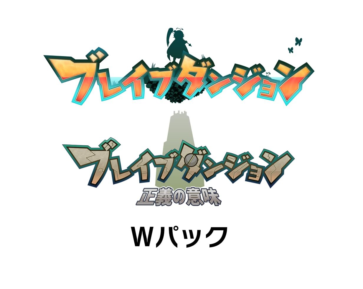 新品 Nintendo Switch ブレイブダンジョン Wパック
