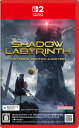 新品 Nintendo Switch 2 Shadow Labyrinth Nintendo Switch 2 Edition