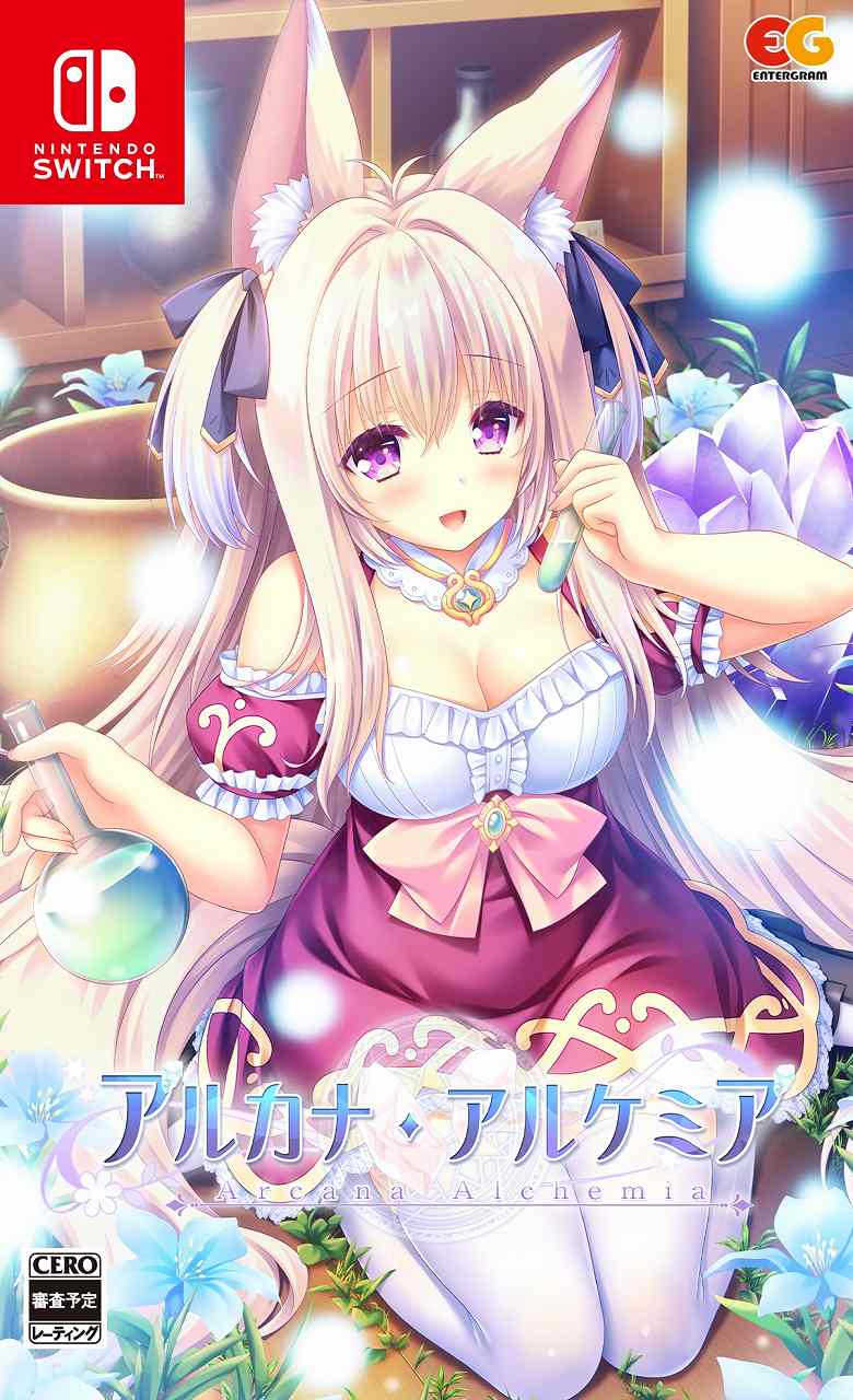  Nintendo Switch 륫ʡ륱ߥSwitchǡ