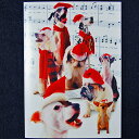 犬のクリスマスカード シンギング・ドッグ