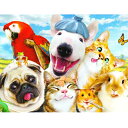 【ハワード・ロビンソン】猫と動物たちののミニお見舞いカード エクストラスマイル