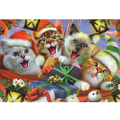 猫のクリスマスカードでメリークリスマス！　追跡メール便可【ハワー...