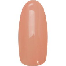 para gel デザイナーズカラージェル