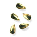乐天商城 - SHAREYDVA スタッズ ドロップ ゴールド 3×2mm 50P ネイルアート メタルスタッズ メタルパーツ ネイル用品