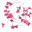 ドライフラワー ローズ 20P 【ネイルアート/アートアクセサリー/ネイルパーツ/押し花】