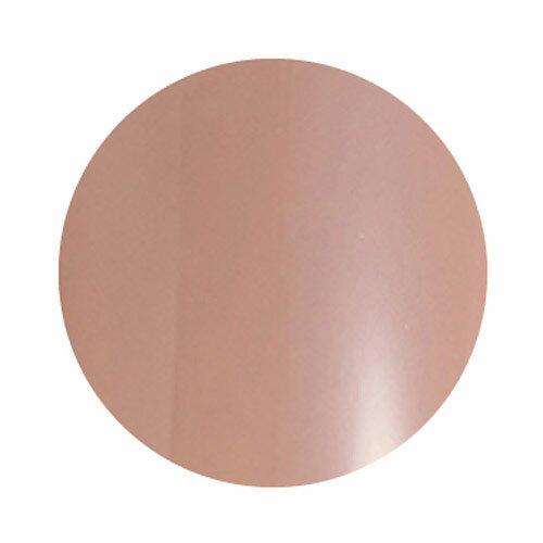 PREGEL カラーEX クラシックセピアneo PG-CEN817 3g ソークオフ カラージェル uv led 対応 国産 ジェル..