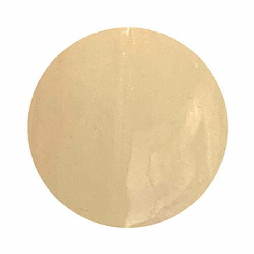 ICE GEL A BLACK アイシングニットジェル S24 ベイクドチャコール 3g 3Dアート ジェルネイル ネイル用品