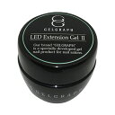 GELGRAPH LEDイクステンションジェルII 50g ジェルグラフ ジェルネイル ネイル用品