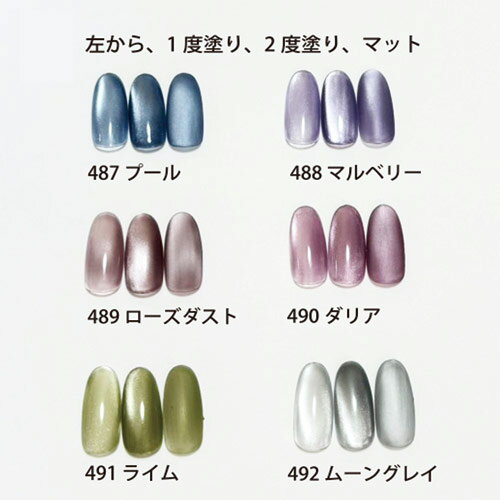 Naility! ジェルネイルカラー 490 ...の紹介画像2