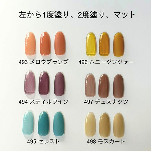 Naility! ステップレスジェル 497 チェスナッツ 7g 【ネイリティー　カラージェル...