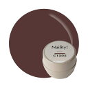 Naility! C1205 ブラウン 【ジェルネイル カラージェル ネイリティー 高発色 セルフネイル】