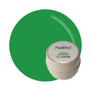 Naility! C1504 グリーン 【カラージェル 高発色 ネイルサロン セルフネイル ネイリティー ジェルネイル】