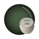 Naility! C1507 フォレスト 【カラージェル 高発色 ネイルサロン セルフネイル ネイリティー ジェルネイル】