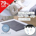【エントリーでポイント10倍】 【79%OFF】 ダストラップ ハウスダスト ダニ 花粉 ハウスダスト対策 アレルゲンほこり ダニシート ダニ捕りシート ダニ取りマット ダニ取りシート 日本製 洗える ネルチャー 敬老の日 1000円ぽっきり