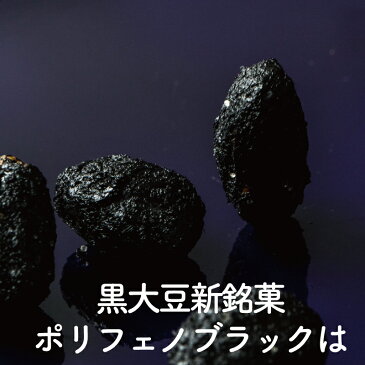 黒大豆銘菓 ポリフェノブラック 有明海苔と胡麻油 80g入 大豆 黒大豆 豆菓子 大豆食品 国産 有明海苔 海苔 胡麻油 健康食 美容食 おつまみ ネモコロ堂 謹製