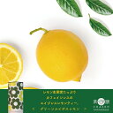 高い抗酸化作用で注目されている希少な素材「グリーンルイボス」に、国産レモン生果実をブレンド。おいしく楽しみながら若さを磨く大人のレモンティーです。身体にやさしいカフェインレス。 内容量：リーフ30g 原材料：グリーンルイボス、レモン果実
