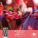 ロージー リーフ30g 筒タイプ(4)