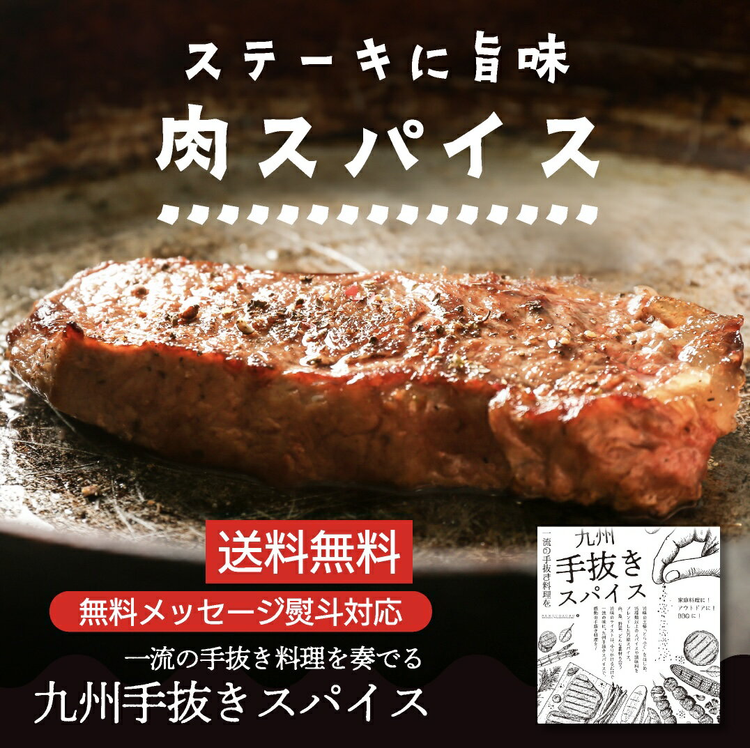 [メール便] 万能スパイス「九州手抜きスパイス」40g 肉料理 焼き鳥 海鮮 野菜 BBQ アウトドア 送料無料..
