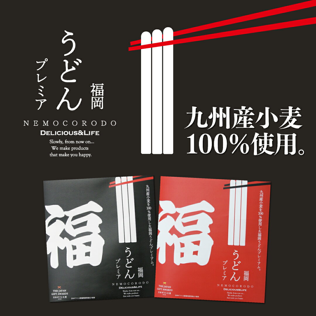 福岡うどんプレミア2人前セット 九州産小麦100% 福岡グルメ 柔らか麺 特製出汁スープ 送料無料 メール便 【無料メッセージ熨斗対応】