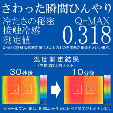 ここにも枕（クール）腰枕/足枕高さ調整可/洗える/パイプ枕/ビーズ枕/まくら/腰まくら/足まくら/マクラ/背あてクッション/うつぶせ/むくみ/プレゼント/脚枕/クール/ひんやり/国産