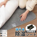 除湿シート 竹炭入 吸湿 竹炭粉入り 消臭 シングル セミシングル ダ...(4)