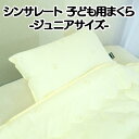 ねむりの部屋提供 インテリア・収納・寝具通販専門店ランキング5位 【クーポン配布中】 シンサレート ジュニア用 まくら シンサレート まくら シンサレート 子供用 枕 シンサレート 枕 シンサレート 防ダニ 洗える シンサレート まくら thinsulate 暖かさ羽毛の約2倍 まくら 35×50cm ねむりの部屋提供 インテリア・収納・寝具通販専門店ランキング5位 【クーポン配布中】 シンサレート ジュニア用 まくら シンサレート まくら シンサレート 子供用 枕 シンサレート 枕 シンサレート 防ダニ 洗える シンサレート まくら thinsulate 暖かさ羽毛の約2倍 まくら 35×50cm